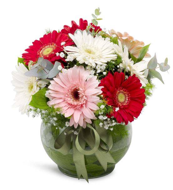 Cam Fanus'ta Rengarenk Gerbera Aranjmanı