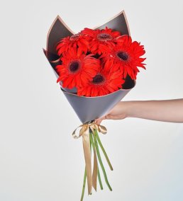 Kırmızı Gerbera Buketi 7'li