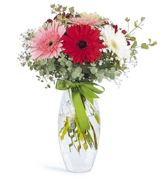 Vazoda Gerbera Arajmanı